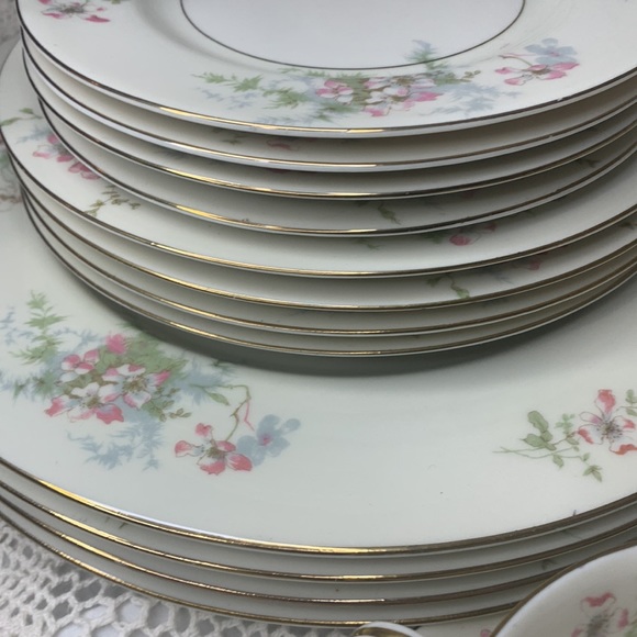 THEODORE HAVILAND (New York) -                 Apple Blossom 20 Piece Estate Set